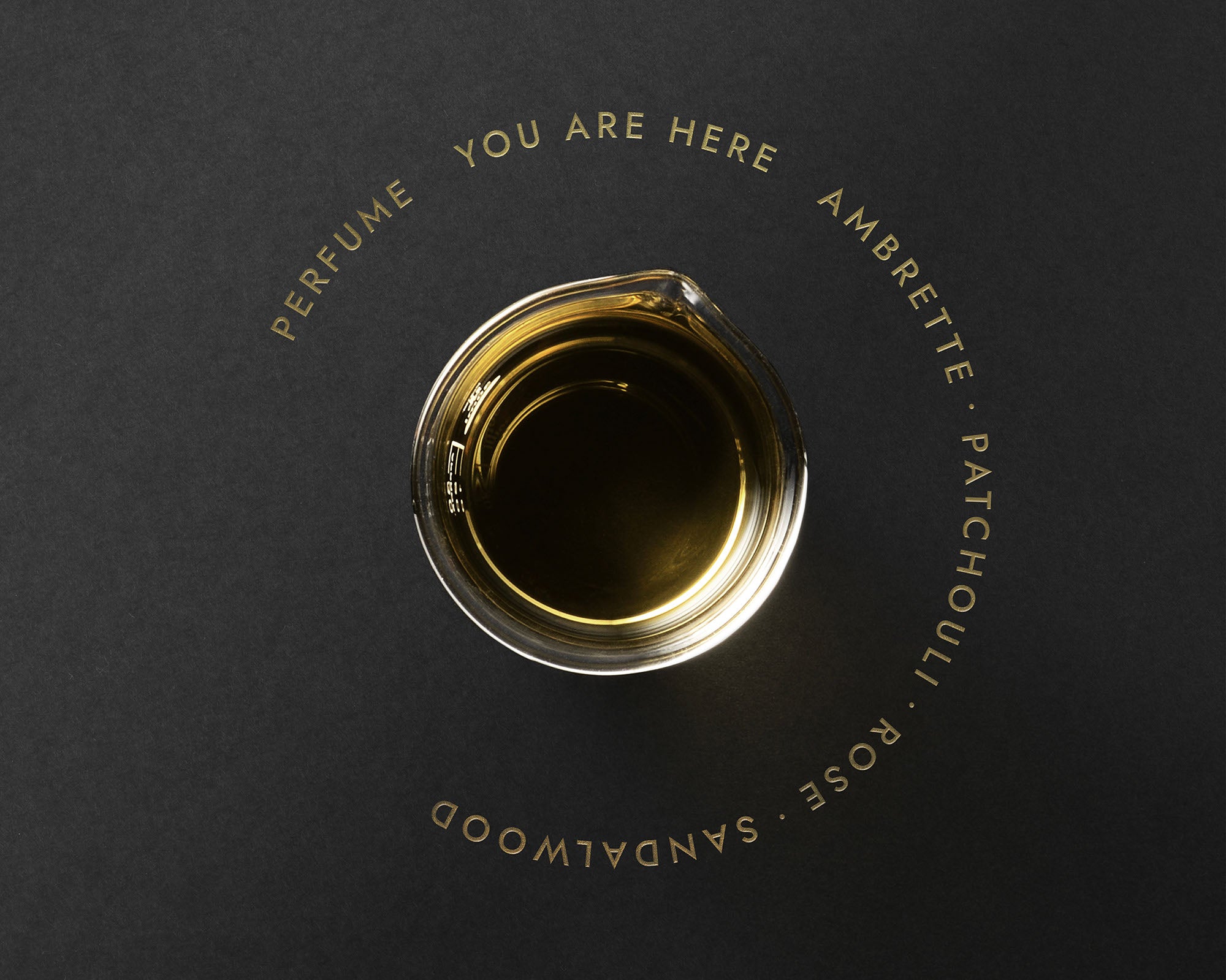 YOU ARE HERE